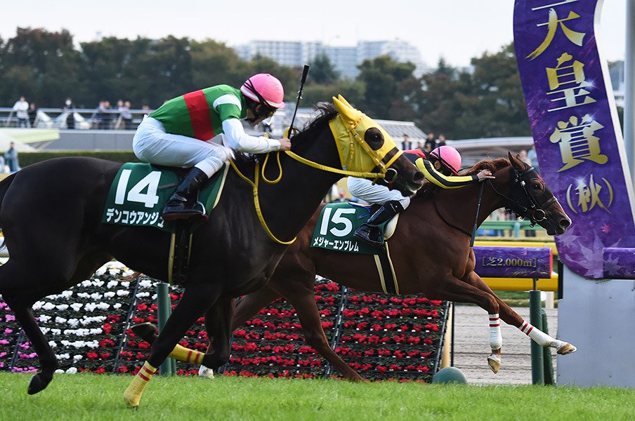 “出世レース”阪神JF、今年は混戦。メジャーエンブレムが孝行娘になる!?<Number Web> photograph by NIKKAN SPORTS