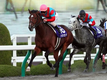 【うまスクエア】穴馬を見つける方法は??/ジャパンカップダート<Number Web>