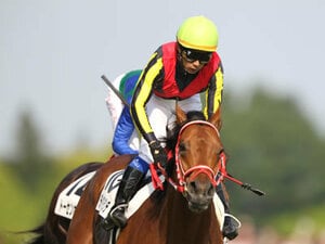 【日本ダービー】さあ、日本ダービーです!