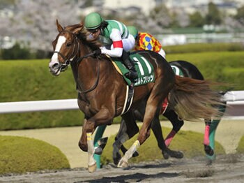 【アンタレスS】米国血統の祭典!<Number Web>
