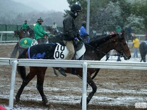 【競馬ラボ】中山金杯で初笑いを飾りたいジャスタウェイ