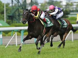 【マーメイドS】長距離G1血統を狙うレース