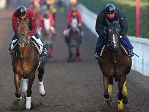 【競馬ラボ】出走時の状態の見極めがマイルCSでは重要