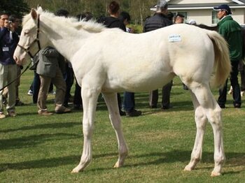 「馬券とは違う競馬の楽しみ方 ~さぁクラブライフをはじめよう!~」<Number Web>