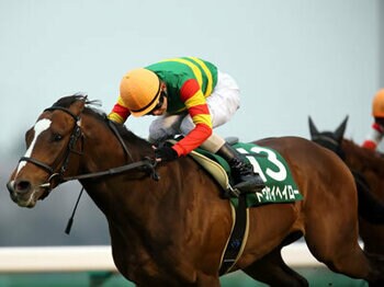 【東西W重賞】上手くいったダービー卿CT、反省材料の残る大阪杯/レース回顧<Number Web>