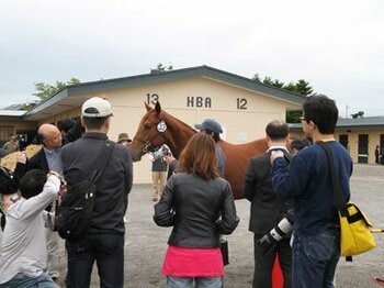 “My Horse in my pocket“~ユニオンオーナーズクラブの特色~<Number Web>