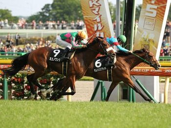 メイショウサムソン産駒への期待<Number Web>