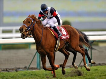 【中日新聞杯】鈍足、スタミナ血統の聖地<Number Web>
