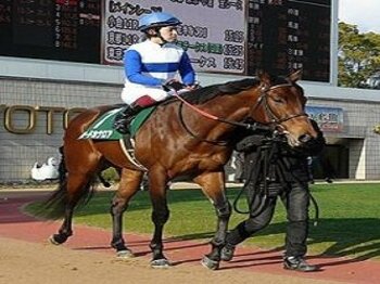 【血統評論家栗山求の勝負目線】スプリンターズS血統的考察<Number Web>