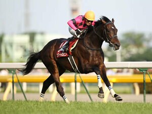 【目黒記念】東京芝2500m重賞で必須の血統とは?