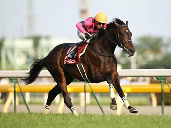 【目黒記念】東京芝2500m重賞で必須の血統とは?<Number Web>