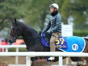 【競馬ラボ】JCD・超良血トゥザグローリーのダート適性は!?