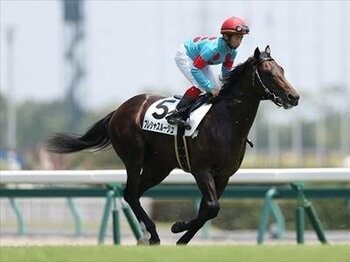 「ダートで見直す!プレシャスルージュ」<Number Web>