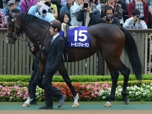 【競馬ラボ】昨年2着のJCで巻き返したいトーセンジョーダン