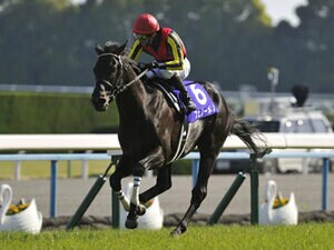【天皇賞・春】レース回顧