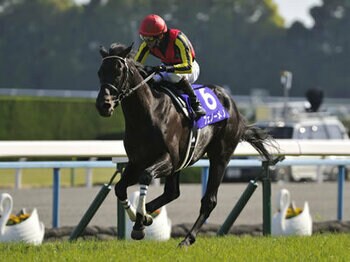 【天皇賞・春】レース回顧<Number Web>