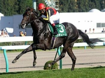 【血統評論家栗山求の勝負目線】毎日王冠血統的考察<Number Web>