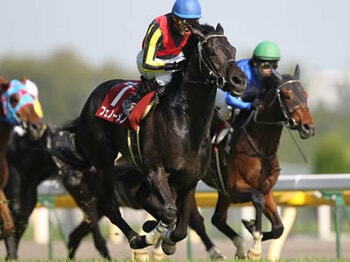【青葉賞】鍵はダービー連対馬の仔<Number Web>