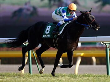 【うまスクエア】やはり馬券は攻めなければいかん!/共同通信杯<Number Web>