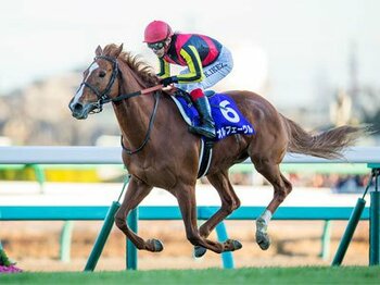「馬券とは違う競馬の楽しみ方 ~愛馬会法人のご紹介~」<Number Web>