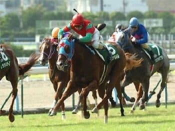 【血統評論家栗山求の勝負目線】札幌2歳S・小倉2歳Sで狙える馬<Number Web>