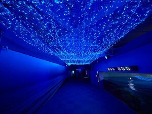満天の星降る、新江ノ島水族館を巡る ナイトワンダーストーリーズ 第二話