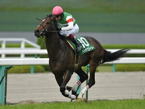 【鳴尾記念】マンハッタンカフェの好相性から見える阪神芝2000m重賞のポイント