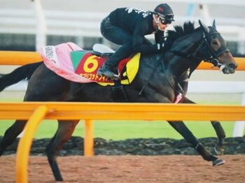 【小島良太の競馬進化論】vol.3 サラブレッドはアスリート!?<Number Web>