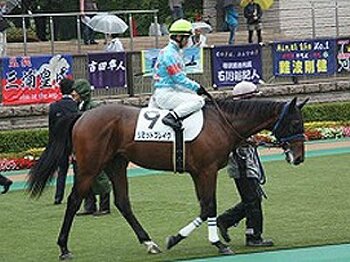 「目指せ限界突破!来年のダービーへ向けた新しい物語がスタート」<Number Web>