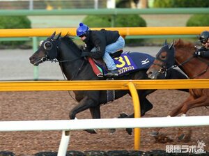 【競馬ラボ】復活を果たしたエイシンフラッシュがJC出走
