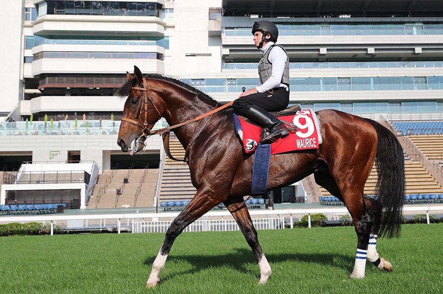 史上初、5つのGIの馬券が買える日。香港ではムーアが4冠の可能性も。<Number Web> photograph by Yuji Takahashi