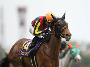 【オークス】オークスのパラドックス