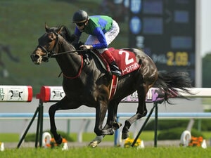 【京都新聞杯】プレ菊花賞。持続力、スタミナ自慢を狙え!