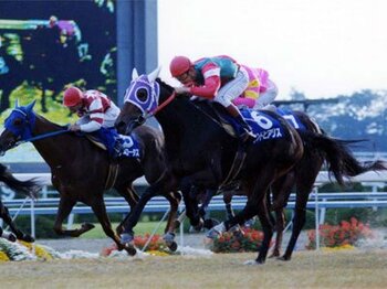 GI最高単勝配当を記録したハイセイコー産駒の足跡。~ユニオンオーナーズクラブ所属サンドピアリス~<Number Web>