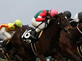ディープインパクト産駒が魅せる輝き~ユニオンオーナーズクラブ所属バーバラ~<Number Web>