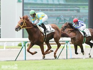 【競馬ラボ】天性の資質を兼ね備えるクラウンレガーロが朝日杯FS出走