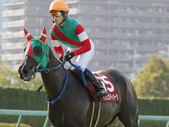 菊花賞目前。神戸新聞杯から紐解くクラシック最終決戦。~ユニオンオーナーズクラブ所属マジェスティハーツ~<Number Web>