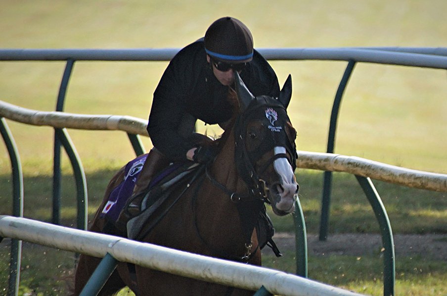 日本馬が久々のキングジョージ出走。シュヴァルグランがエネイブルに挑む。<Number Web> photograph by Satoshi Hiramatsu