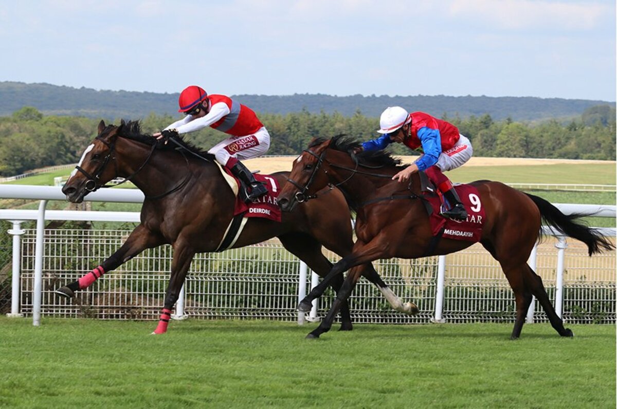凱旋門賞に日本馬3頭出走の可能性 数年前は想像しなかった海外志向 3 3 競馬 Number Web ナンバー 凱旋門賞に日本馬3頭出走の可能性 数年前は想像しなかった海外志向 3 3 競馬 Number Web ナンバー
