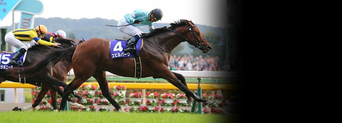 天皇賞・秋のスピルバーグに思う、重賞未勝利馬がなぜGIを勝つのか