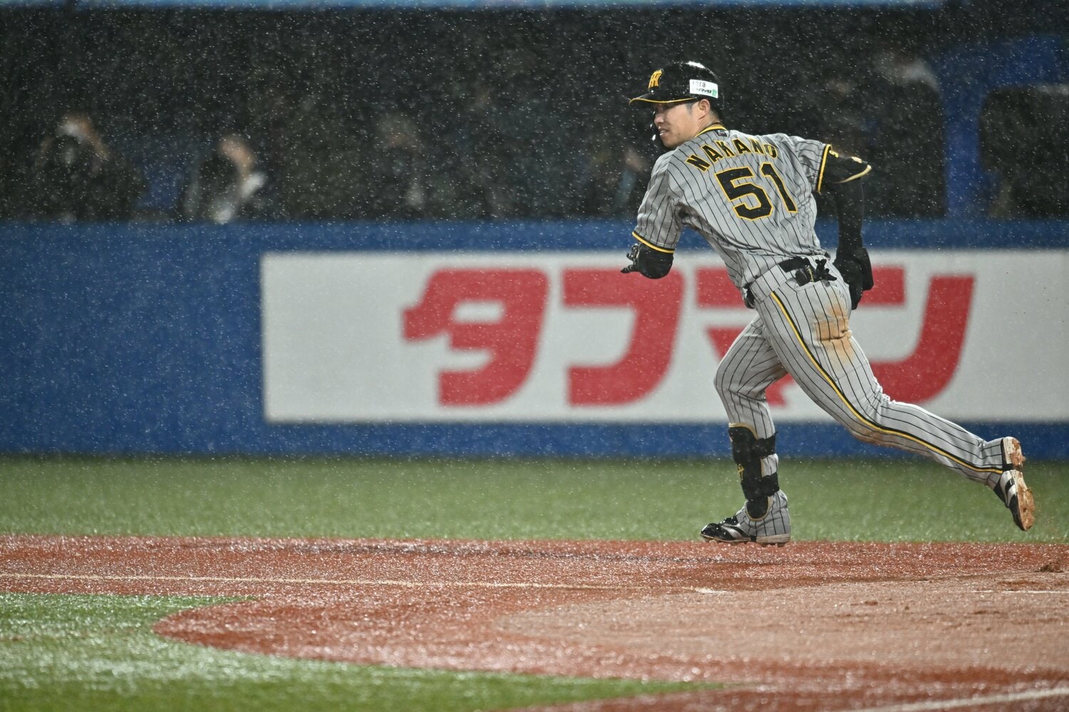 今季ショートで135試合に先発した2年目・中野拓夢 ©Hideki Sugiyama