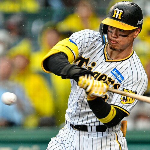 【値段交渉します】赤星憲広選手時代のお宝 元阪神タイガース赤星憲広さんが 現役時代に履いていたスパイク