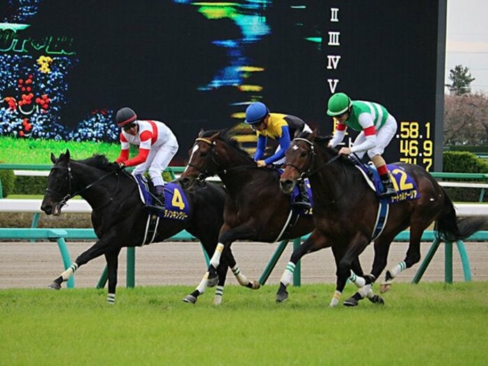 ダービーに向け“残り2強”も順調。サートゥルナーリア1択、ではない。<Number Web> photograph by Satoshi Hiramatsu