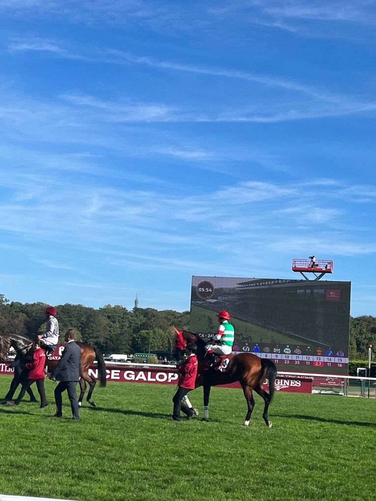 ロンシャンの地で存在感を放ったスルーセブンシーズ ©Shintaro Okawa