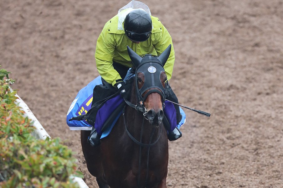 朝日杯が「2歳女王決定戦」になる!?ミスエルテがフランケル時代を創る。<Number Web> photograph by Yuji Takahashi