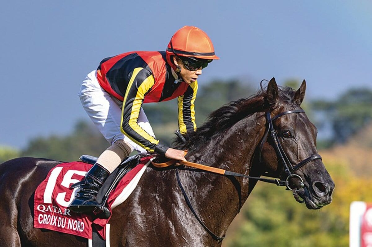 凱旋門賞速報］クロワデュノールほか「気まぐれな空模様に阻まれて