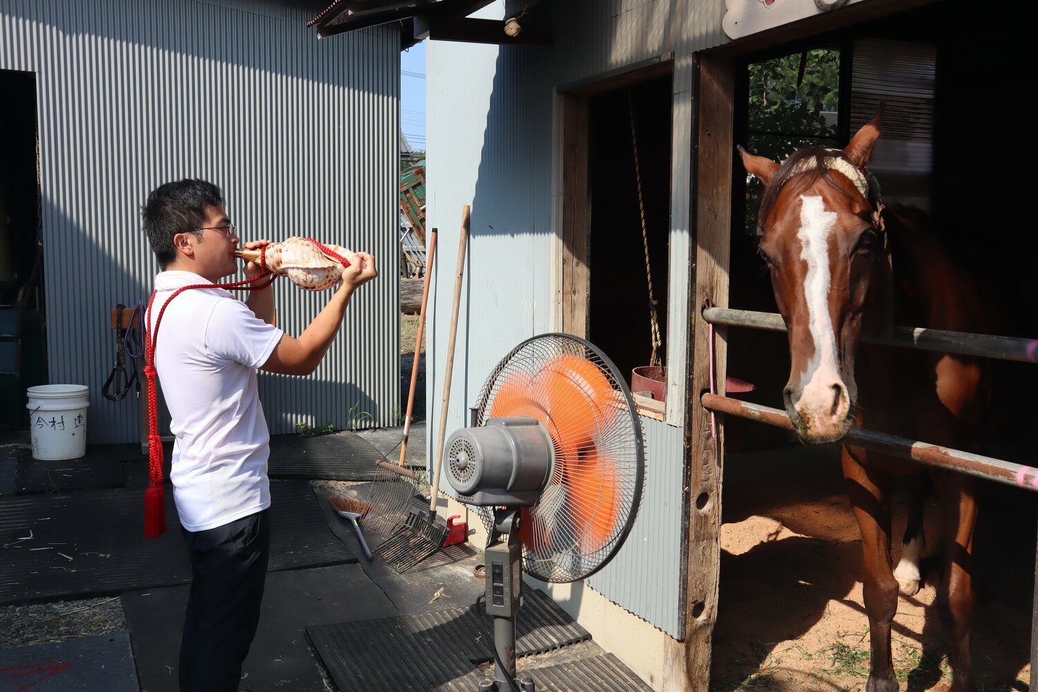 ダービーでも健闘（6着）したクリスタルウイングの前で法螺貝を吹く今村一史さん