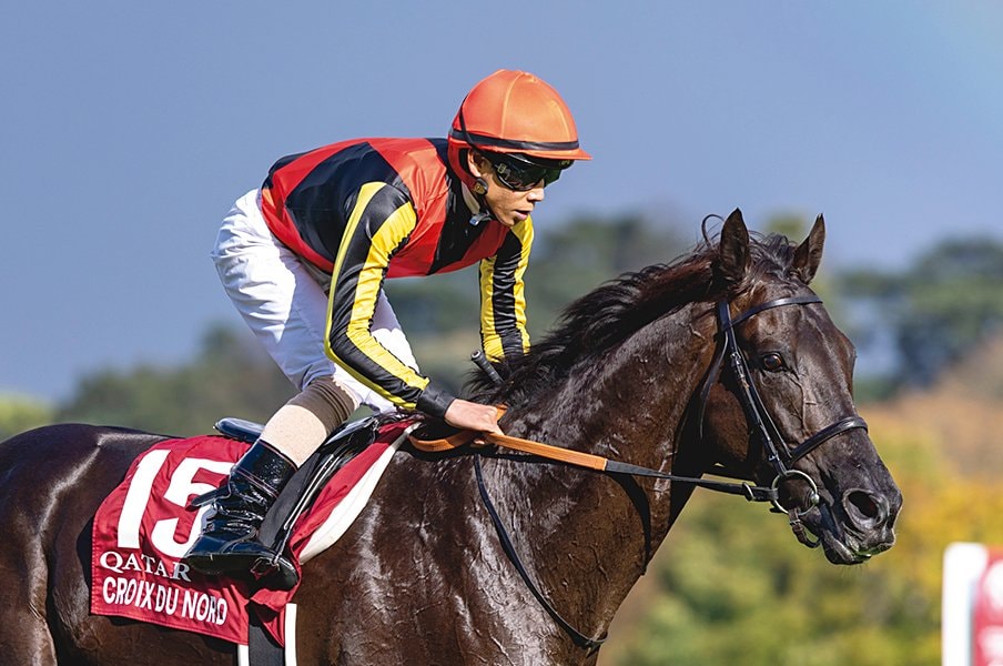 ［凱旋門賞速報］クロワデュノールほか「気まぐれな空模様に阻まれて」＜Number Web＞ photograph by Photostud