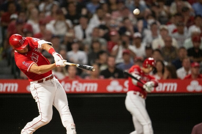 2022年　©Nanae Suzuki