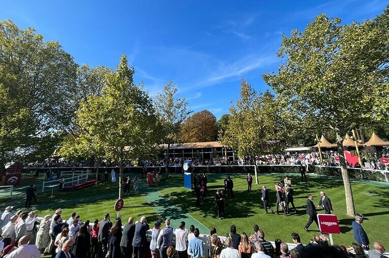 ロンシャン競馬場のパドック。弾丸日程で凱旋門賞へと訪れた ／ photograph by Shintaro Okawa